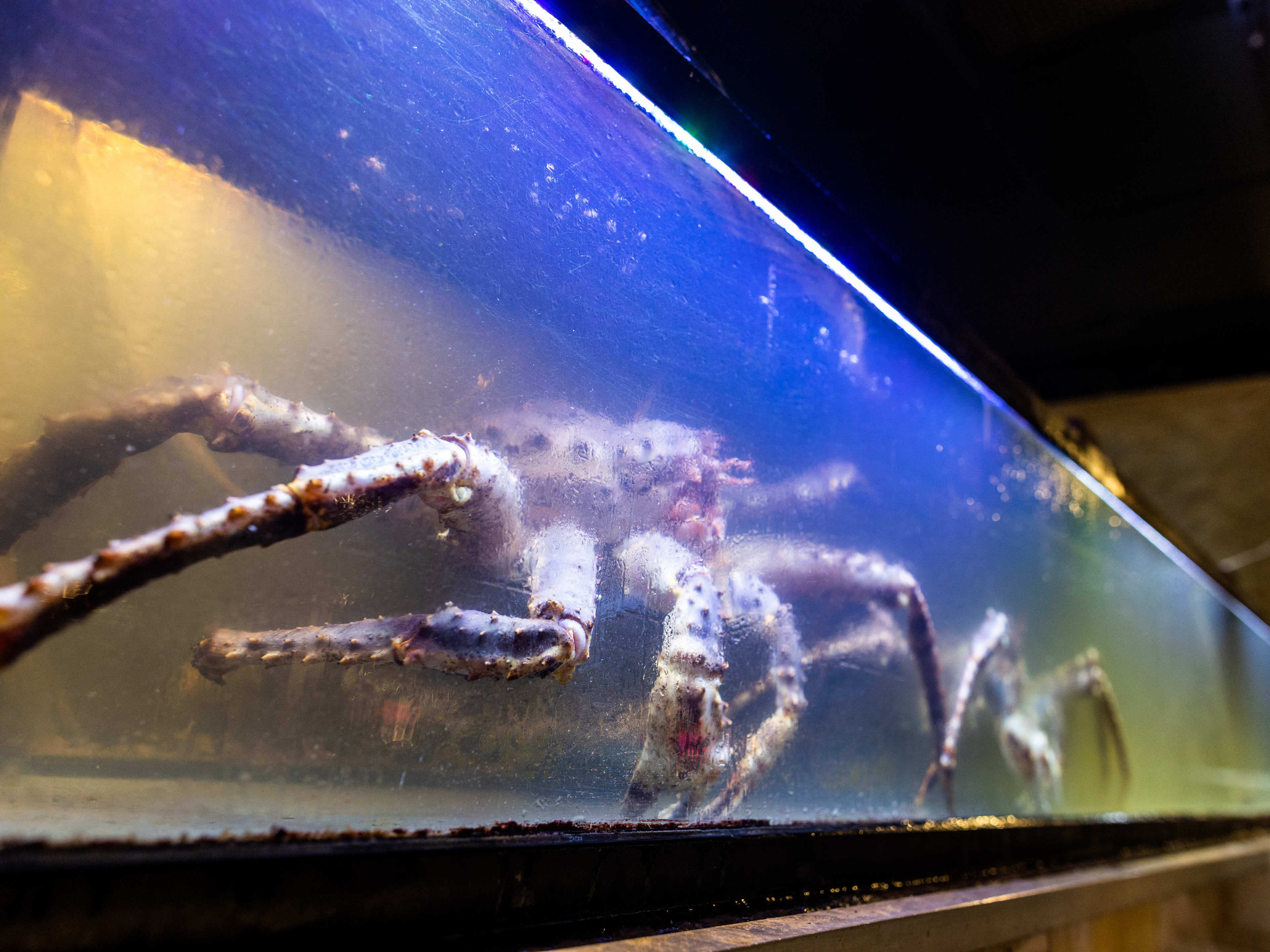 crabs inside a tank at Hai Cang.