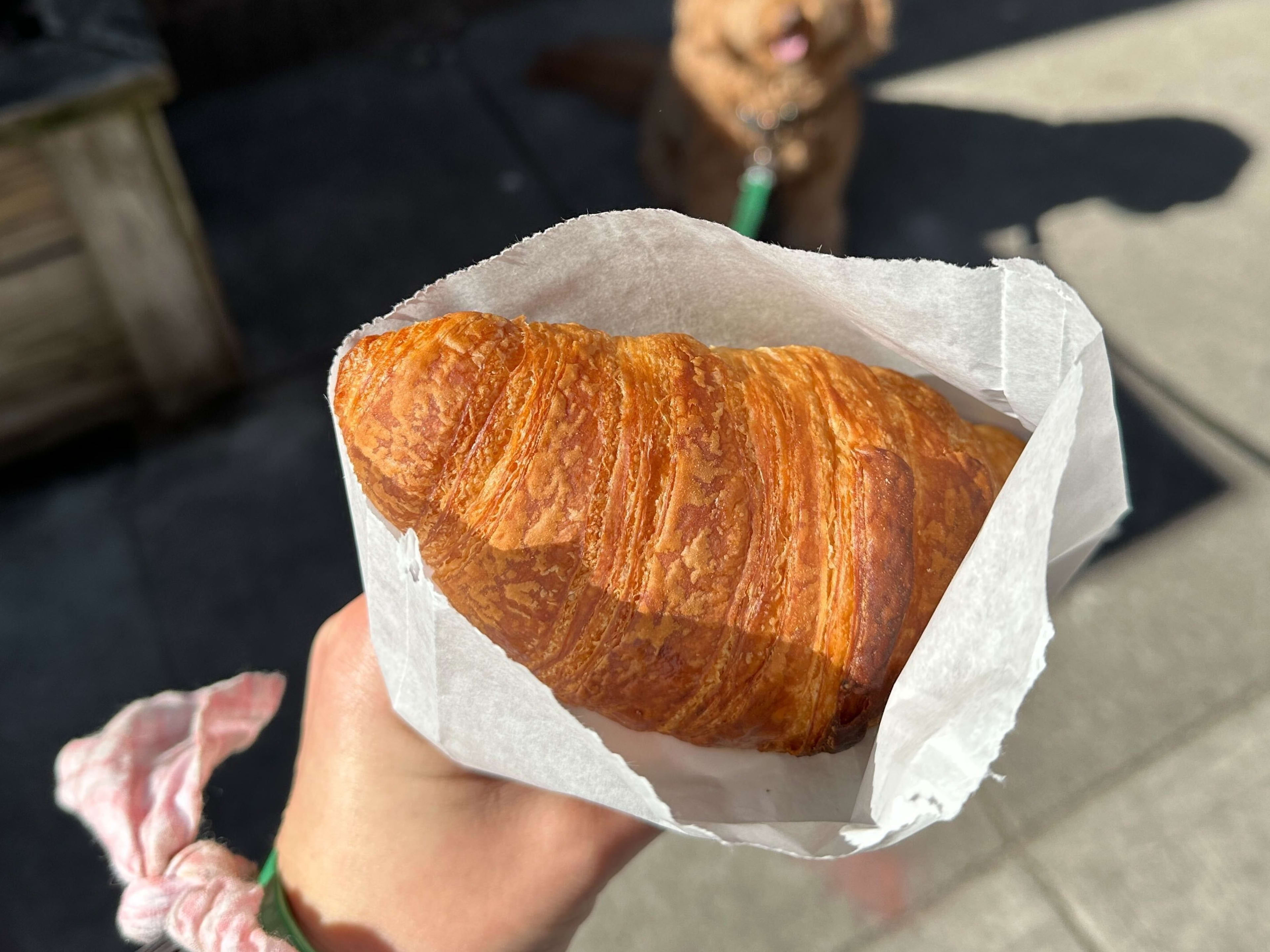 A big, flaky croissant in a small bag held above a sidewalk.