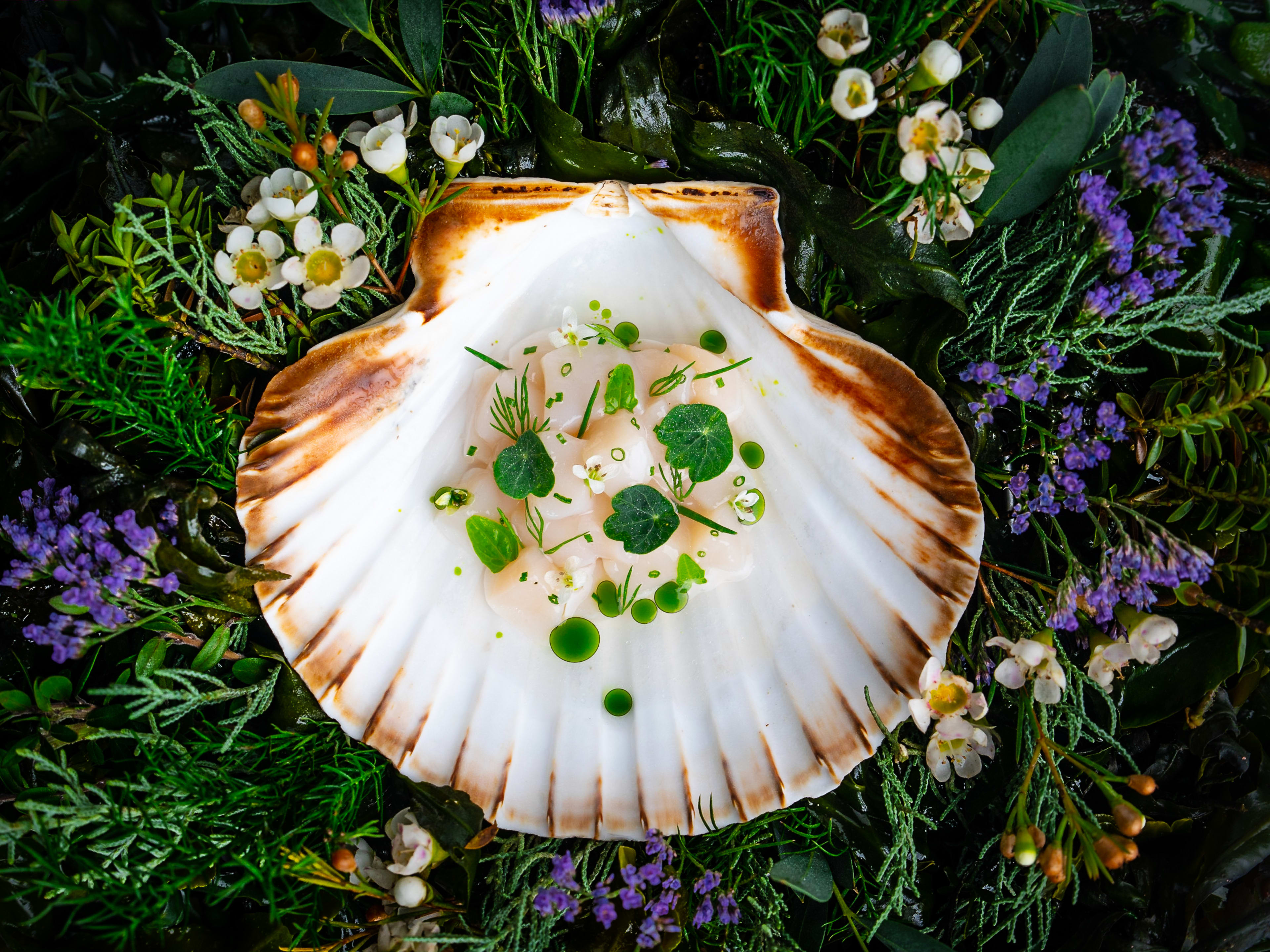 The Isle Of Harris Scallop Tartare dish at Core By Clare Smyth