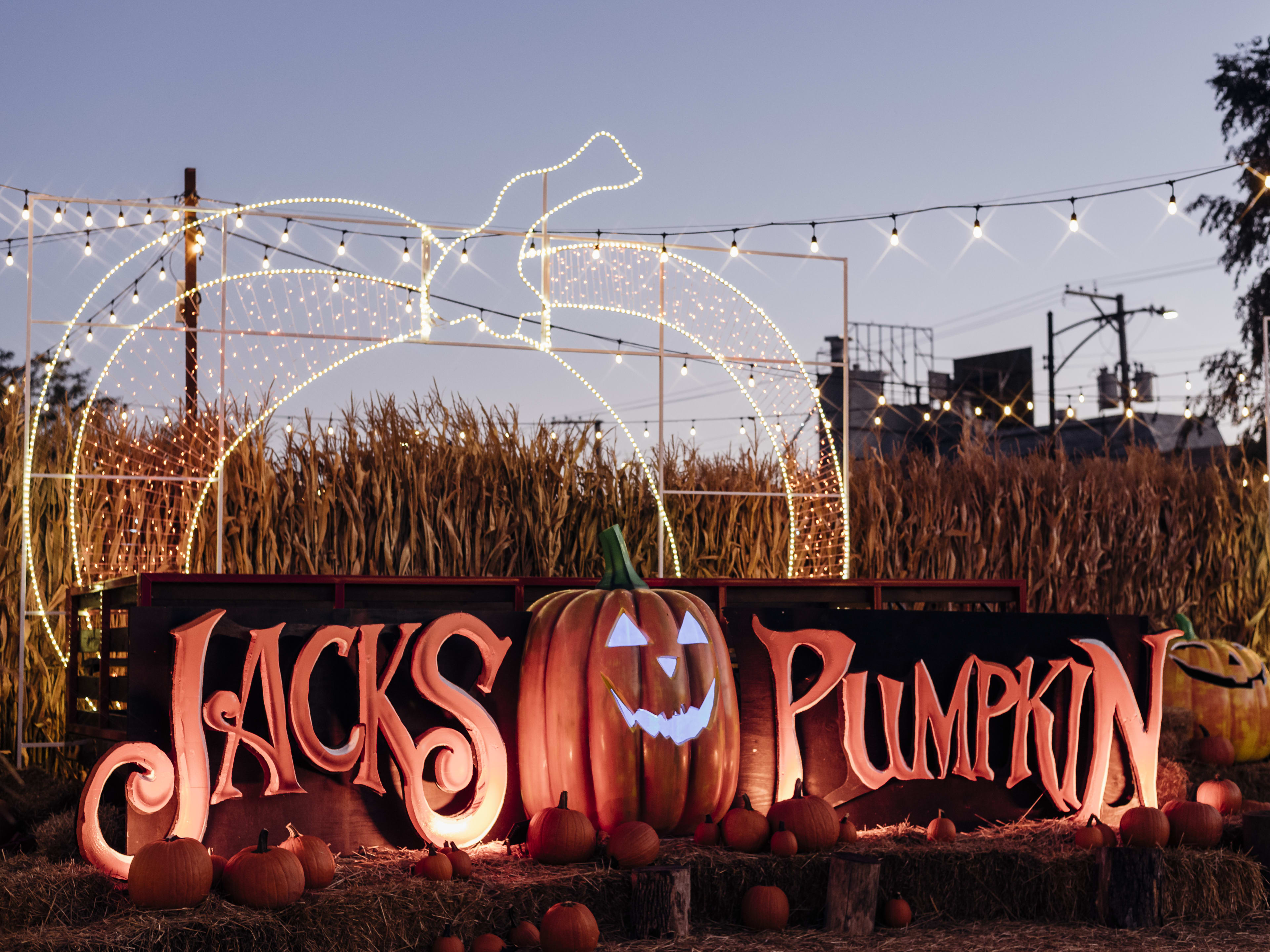 Jack's Pumpkin Pop-Up image