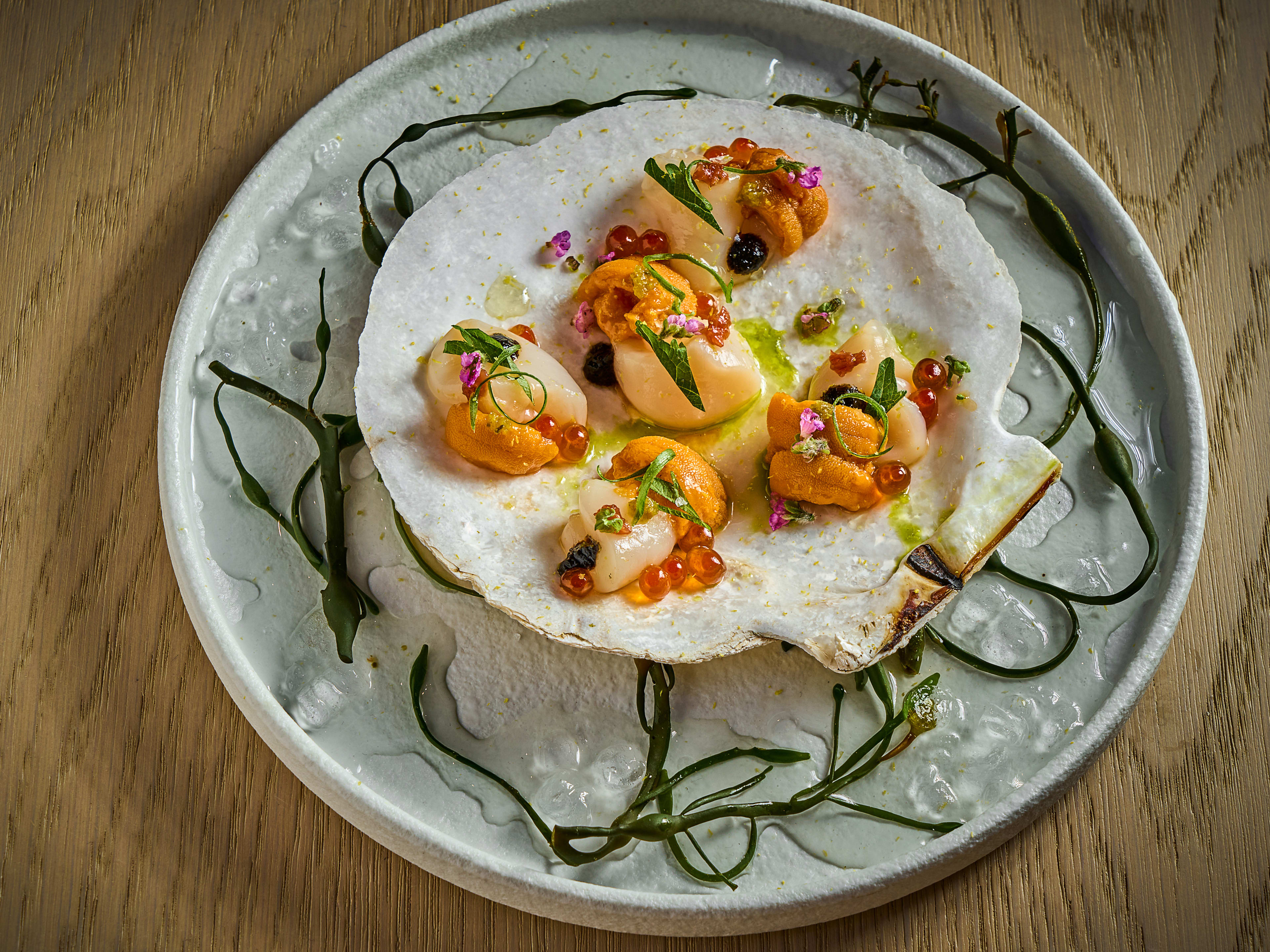 a scallop crudo on the half shell with uni and salmon roe