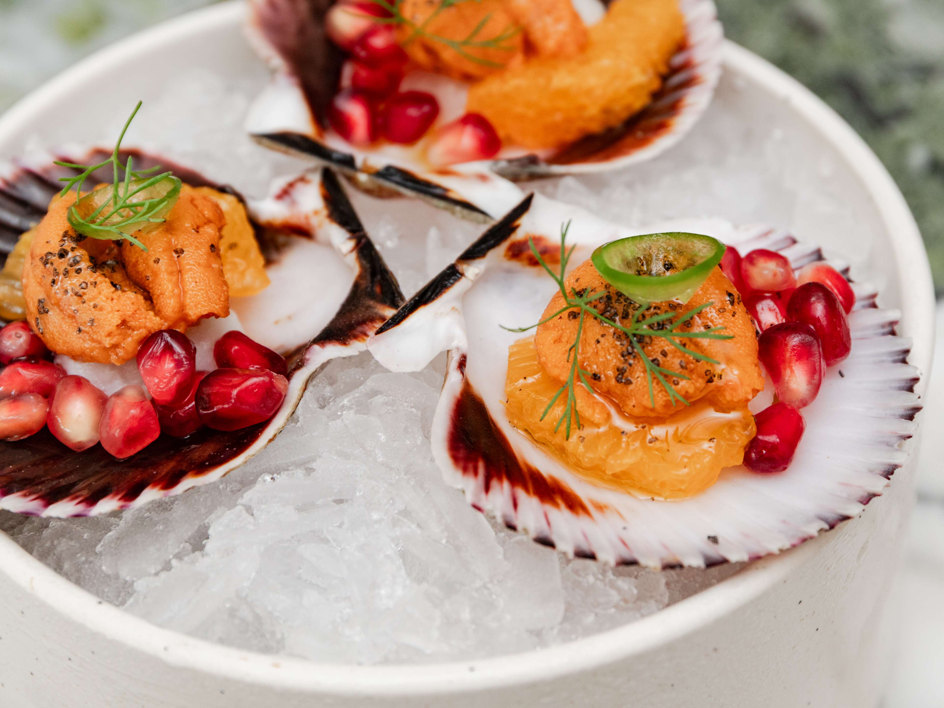 Ceviche Project is a tiny spot with maximalist mariscos - Review - Los ...