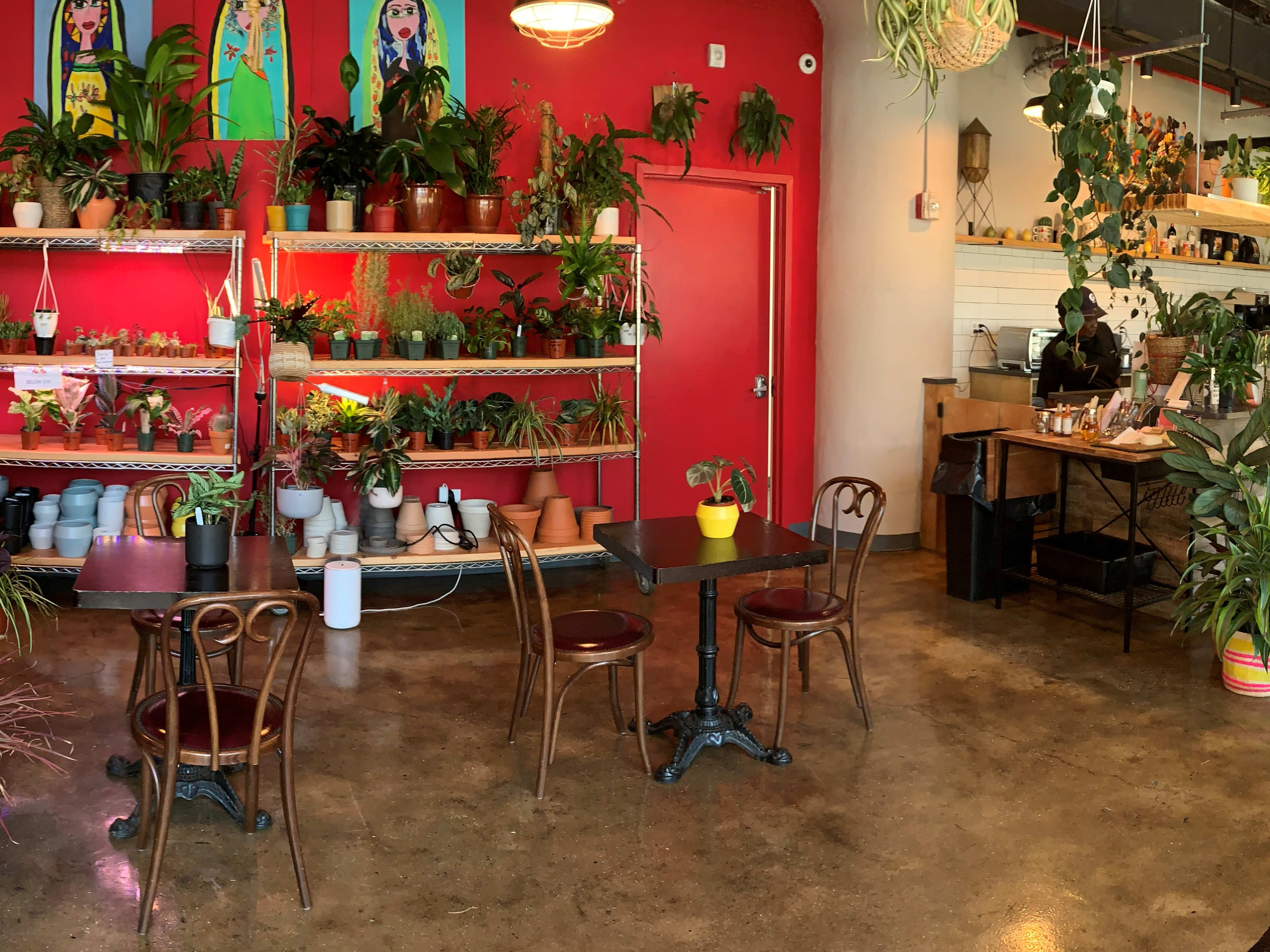 Mae Mae Café + Plant Shop image