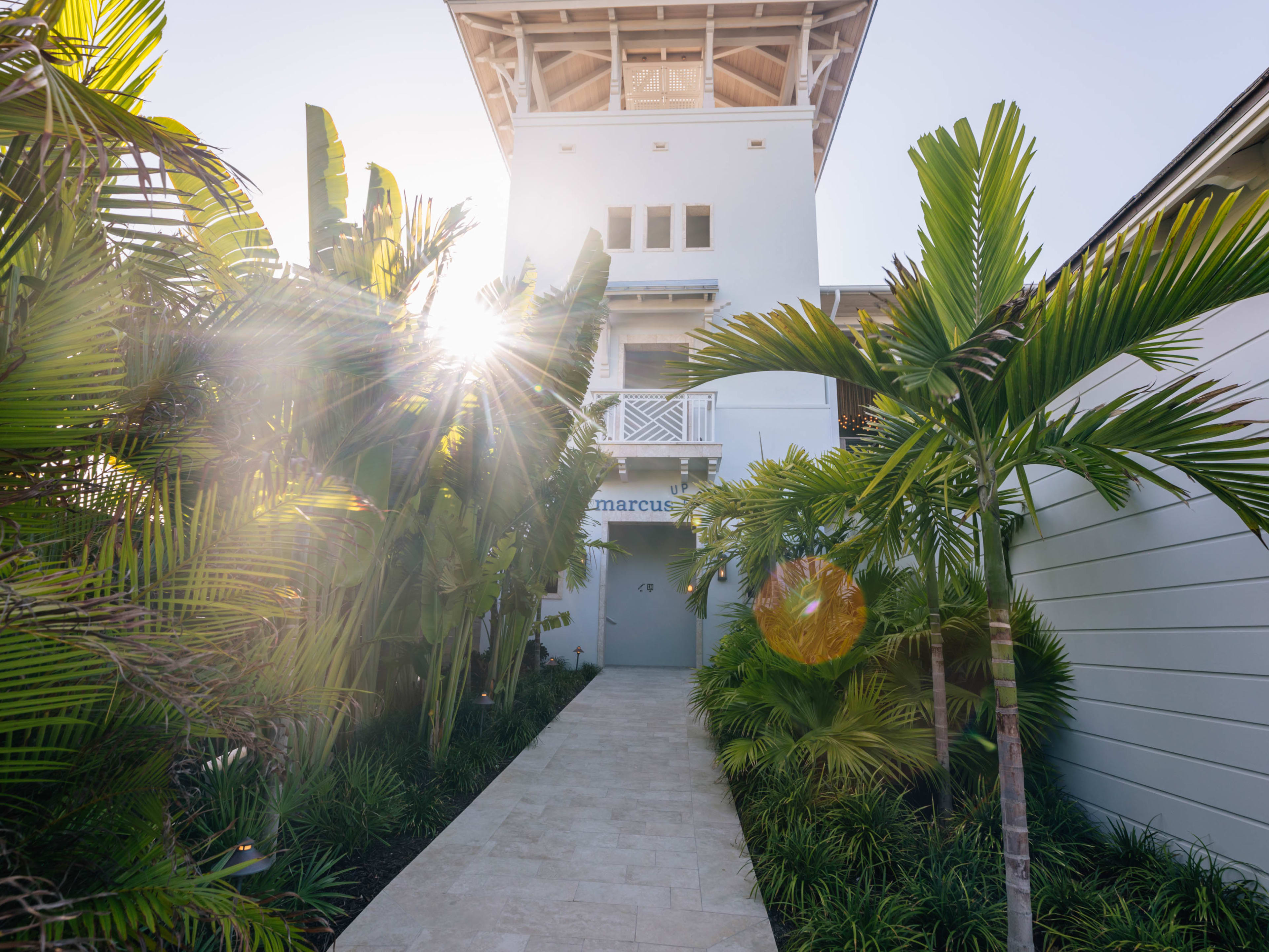 Exterior entrance lined with palm trees at Marcus