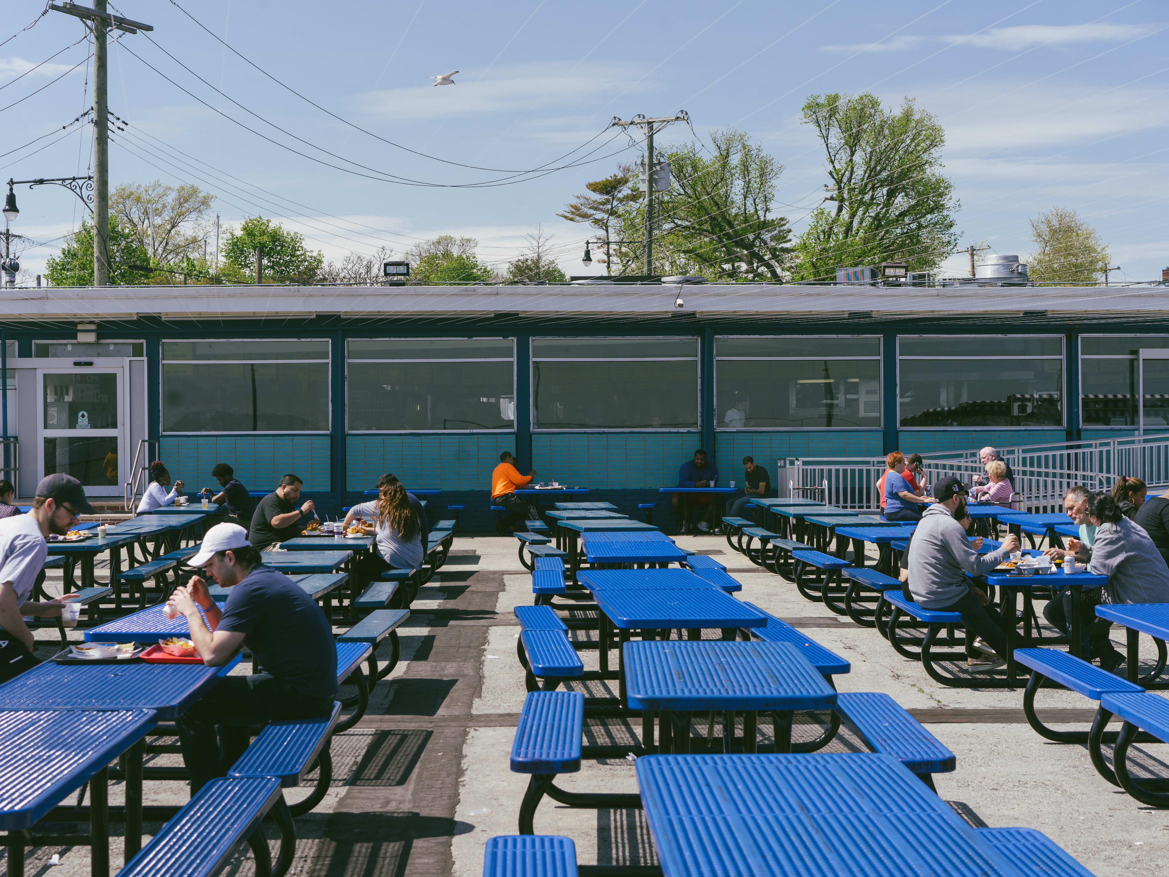 An outdoor seating area with lots of blue picnic tables.