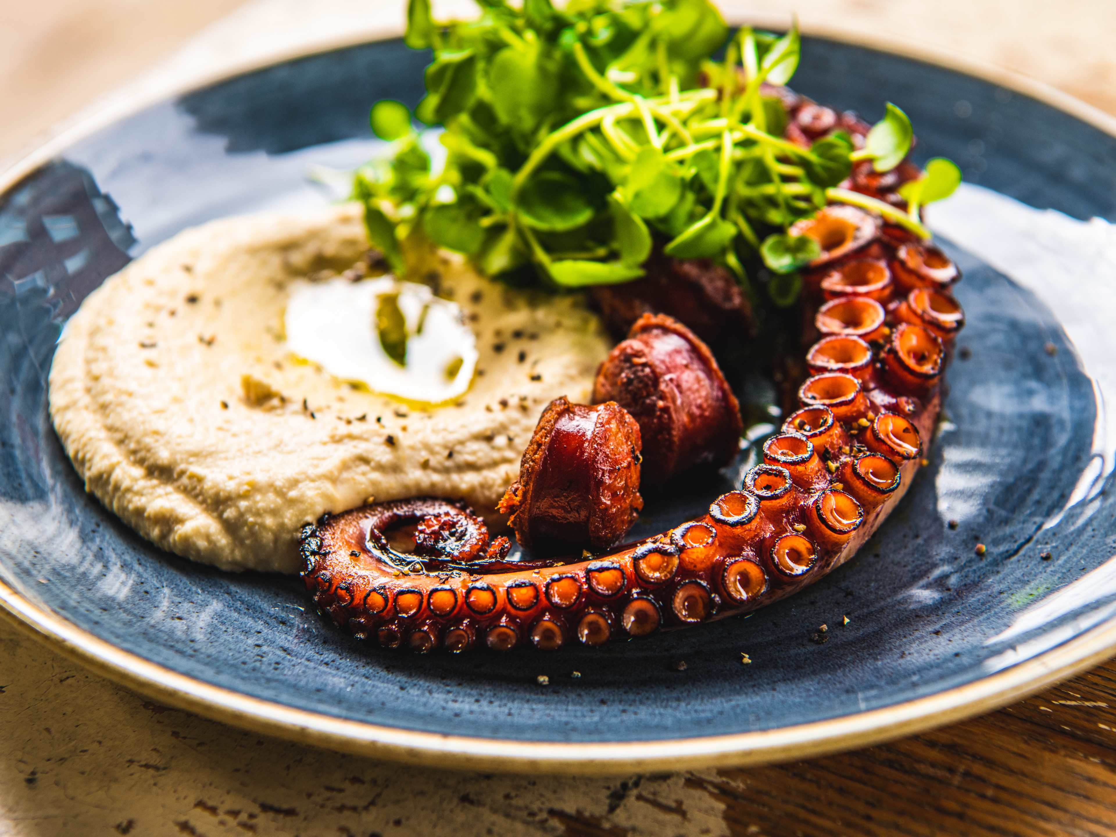 The grilled octopus from Norfolk Arms.