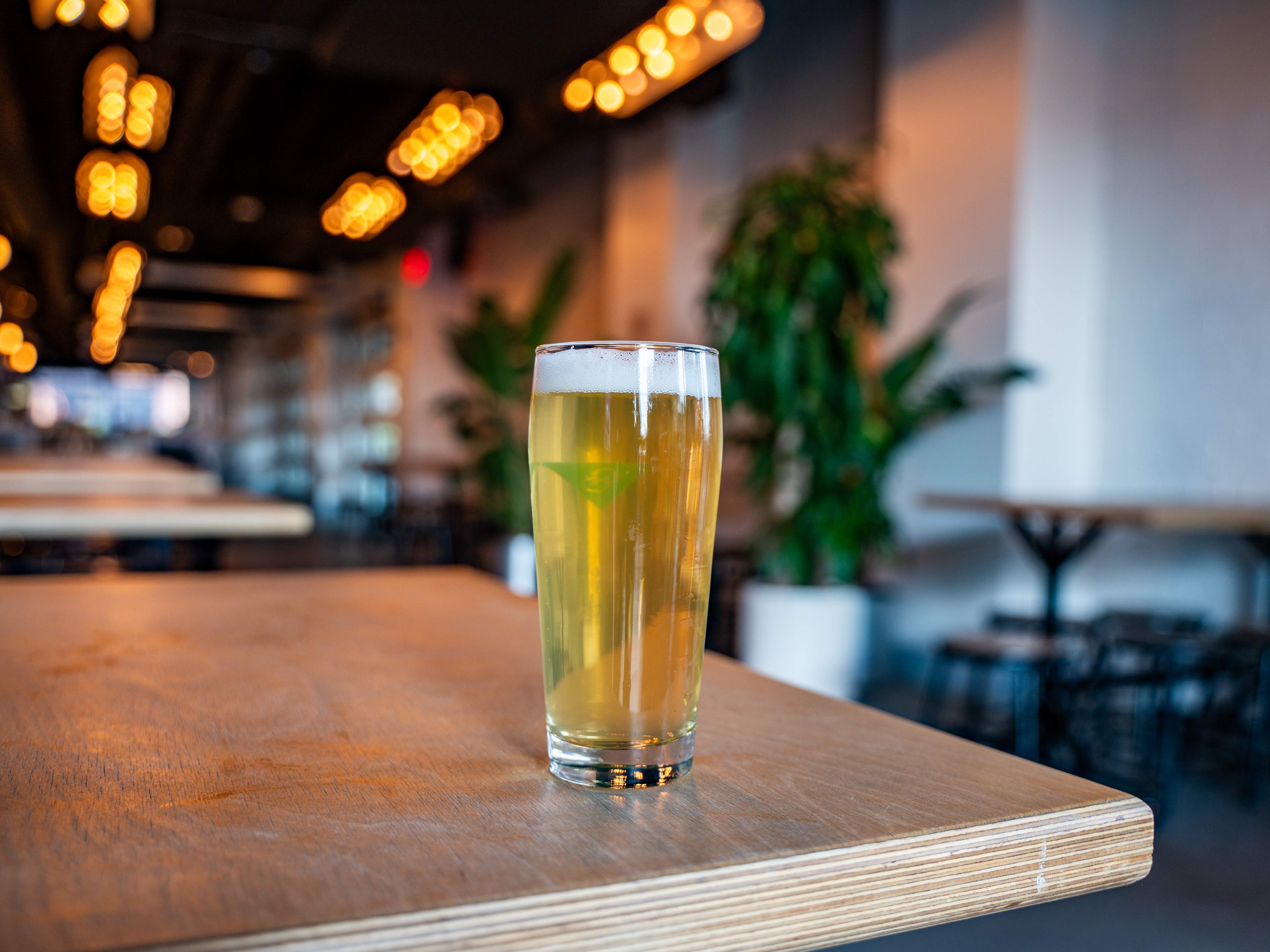 beer in glass on tabletop