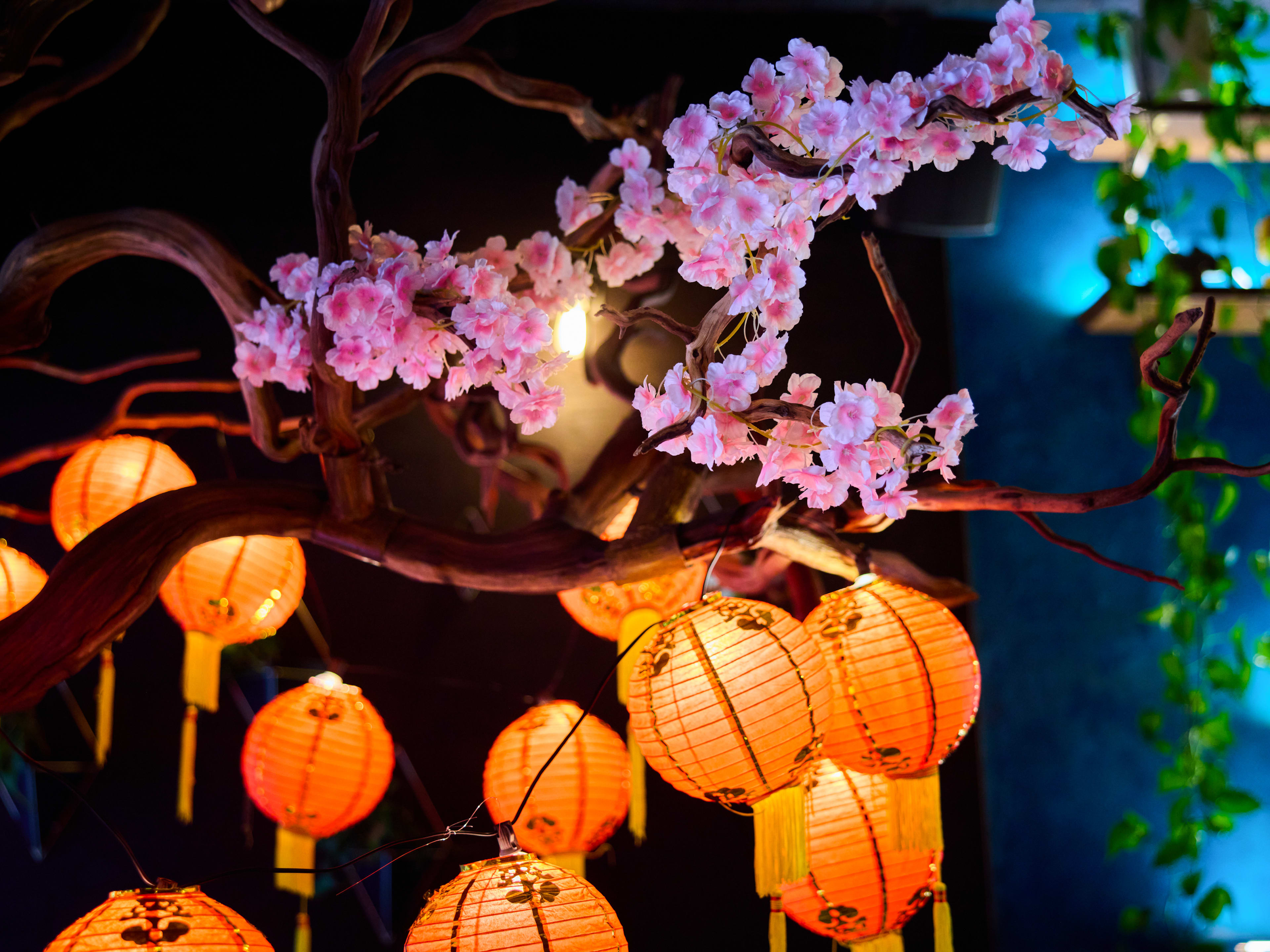 dark bar interior with glowing mini lantern and cherry blossom decorations