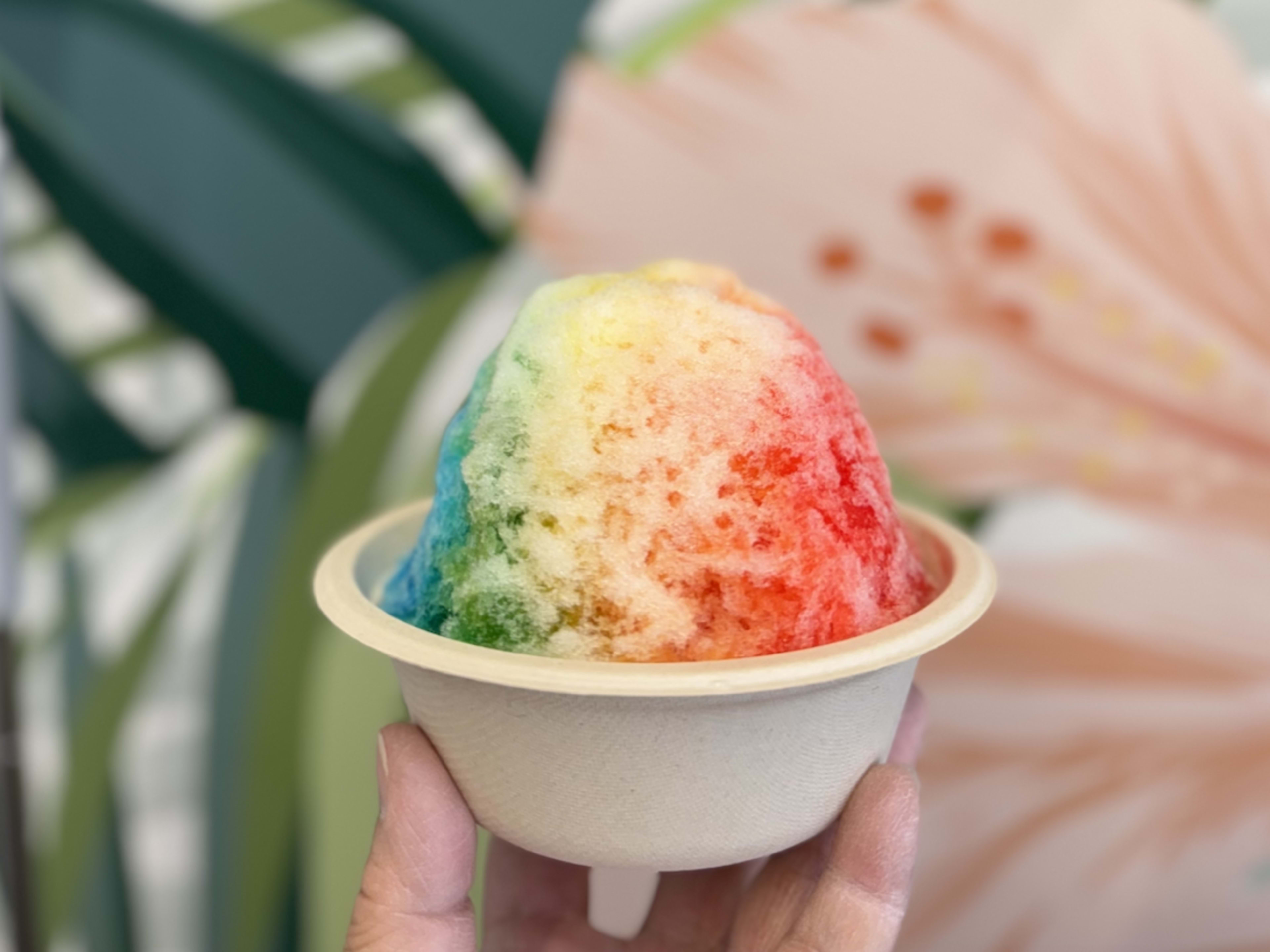 rainbow shave ice held up in front of tropical flower mural