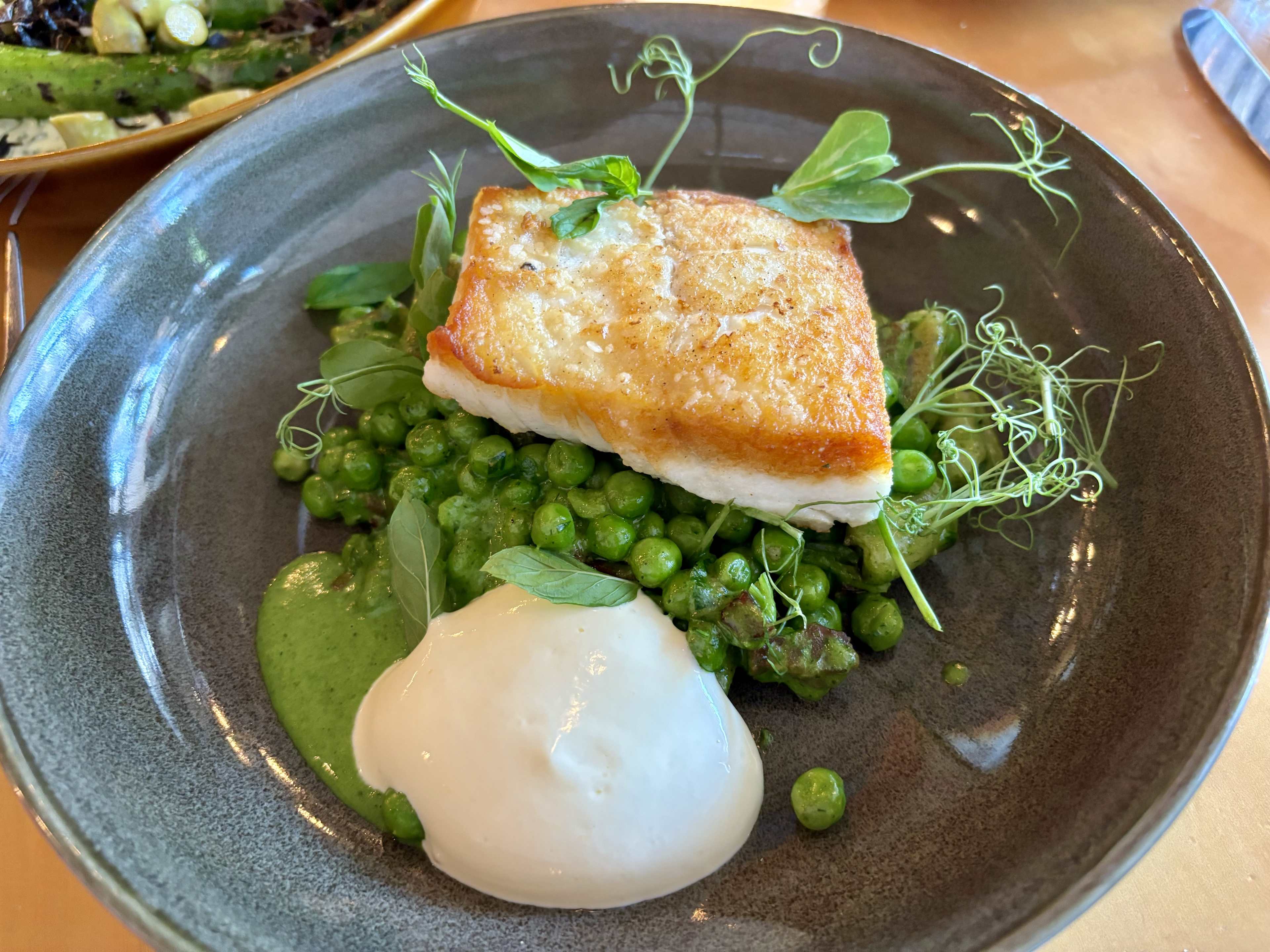 Seared halibut sits on top of a pile of peas and pisarei e faso.