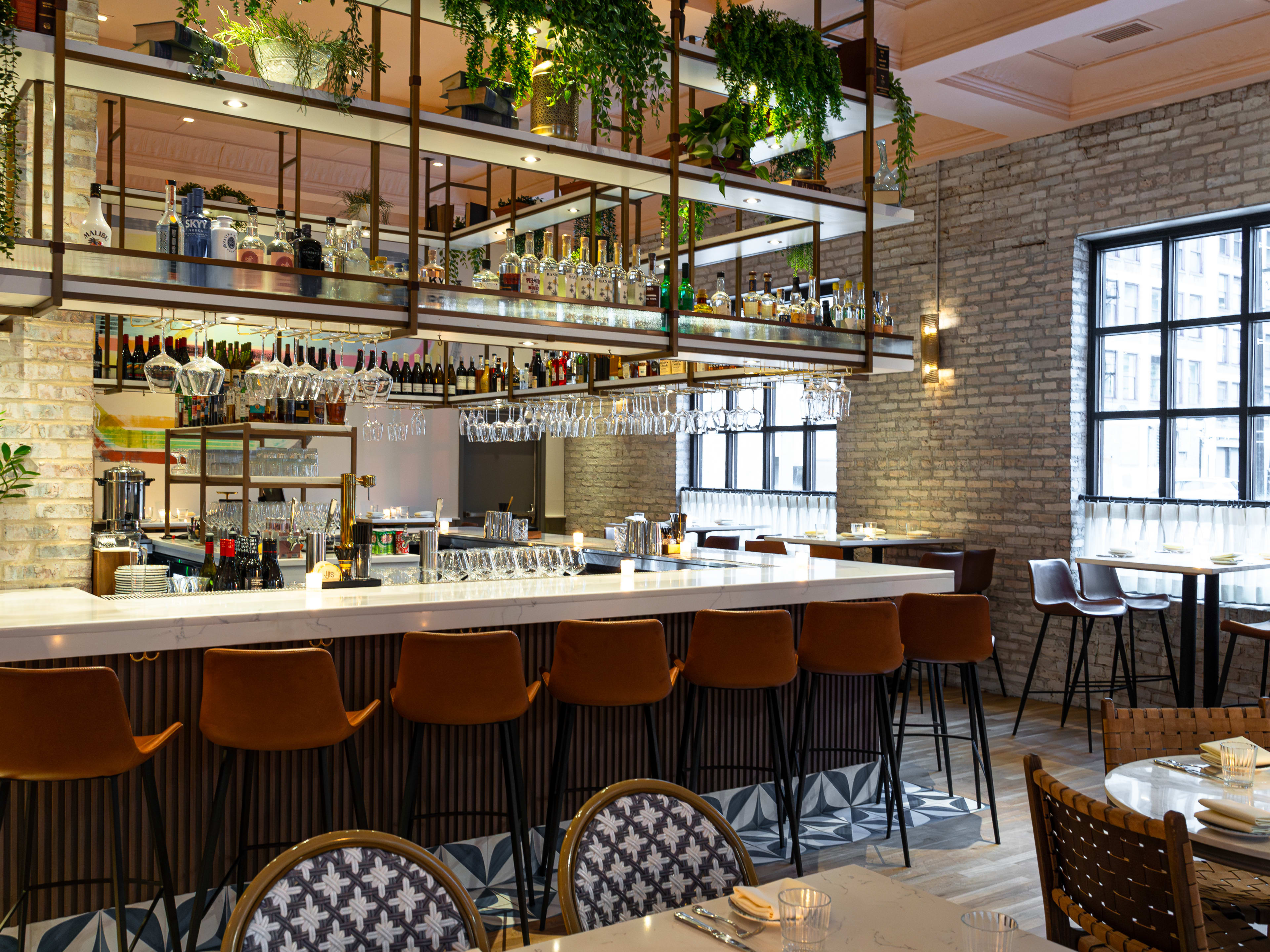 Front bar at Sifr, with open shelving, lots of plants, and big bright windows