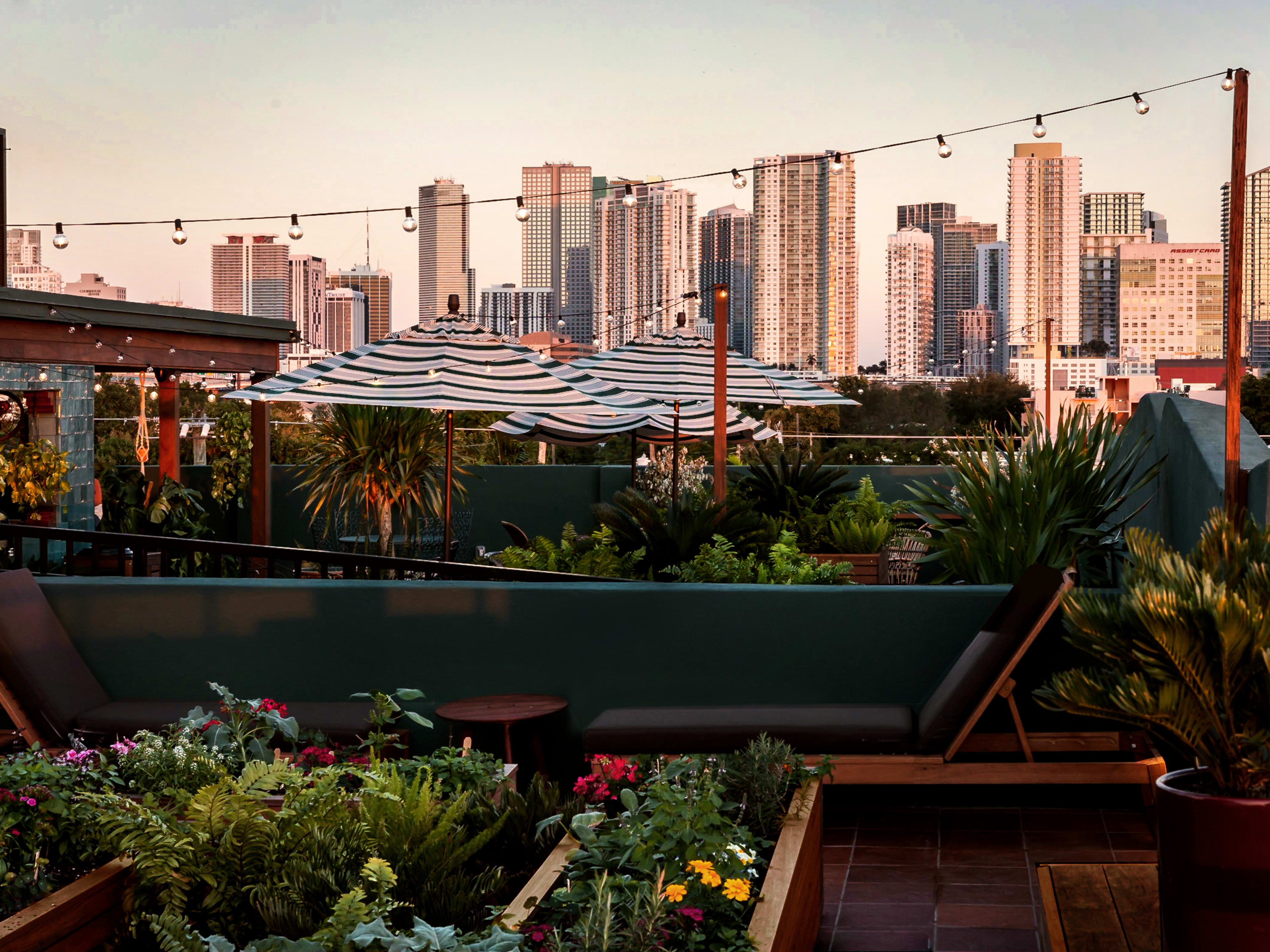 Rooftop terrace with view of Miami Skyline.