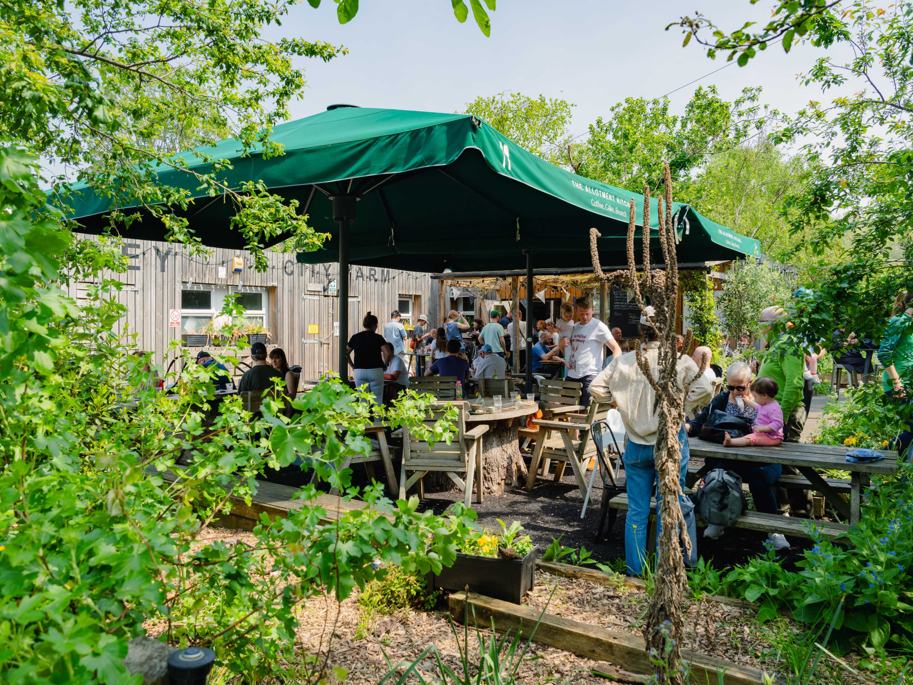 The foliage filled outdoor seating area at The Allotment Kitchen.
