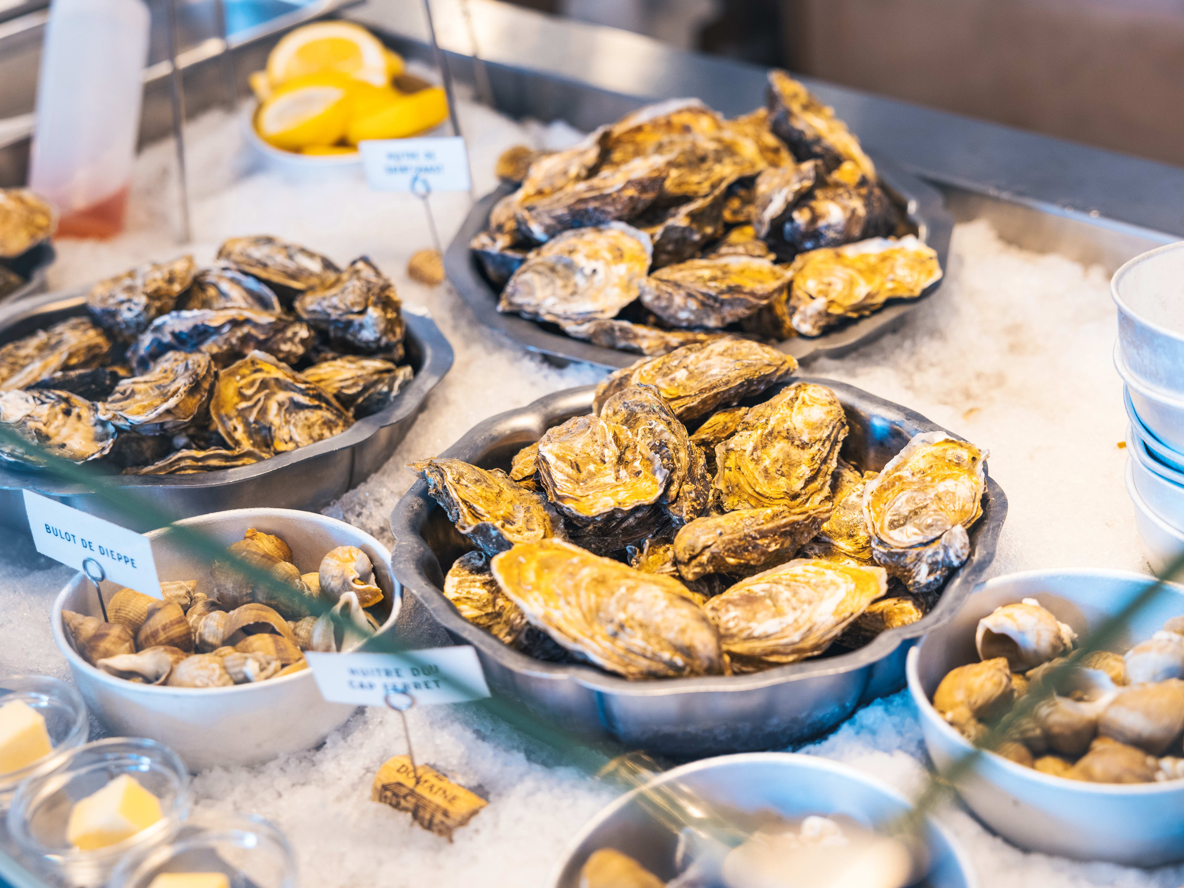 Fresh unshucked oysters in seafood case at Soces