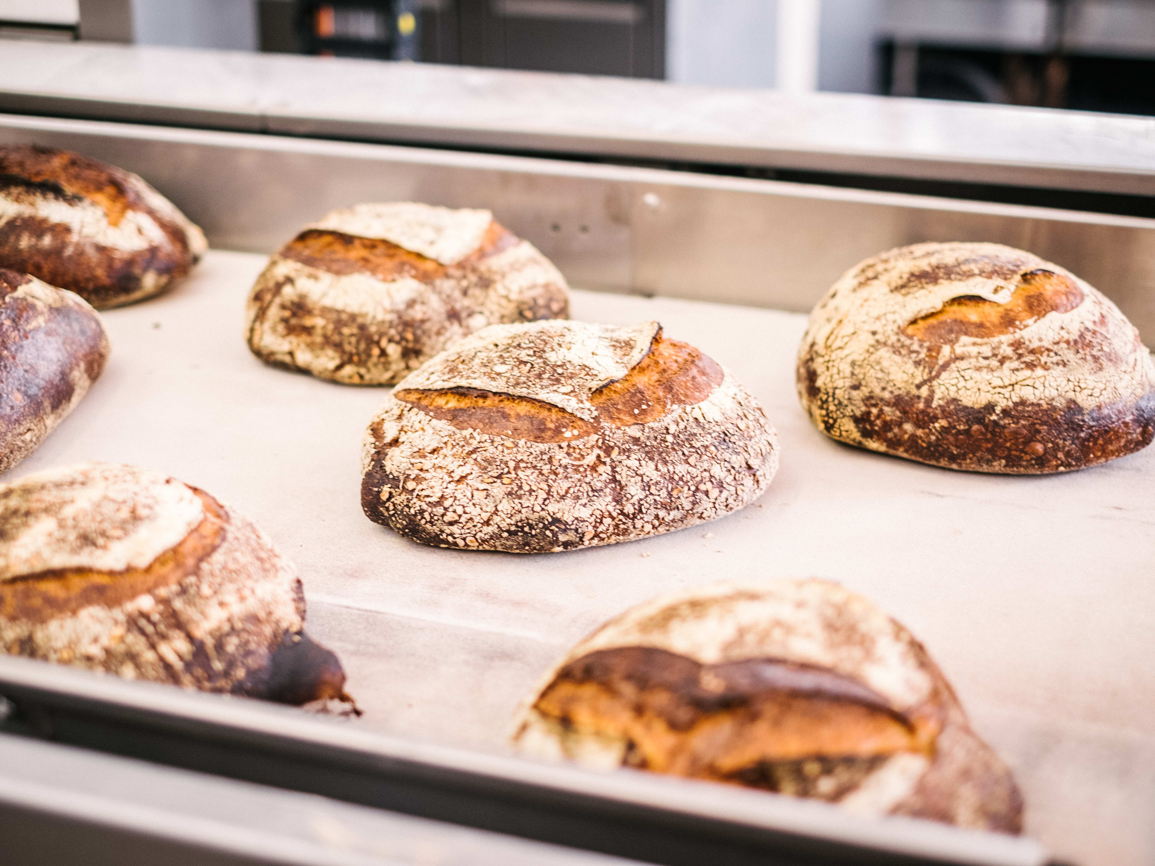 Country loaves on a conveyer belt at Tartine Manufactory