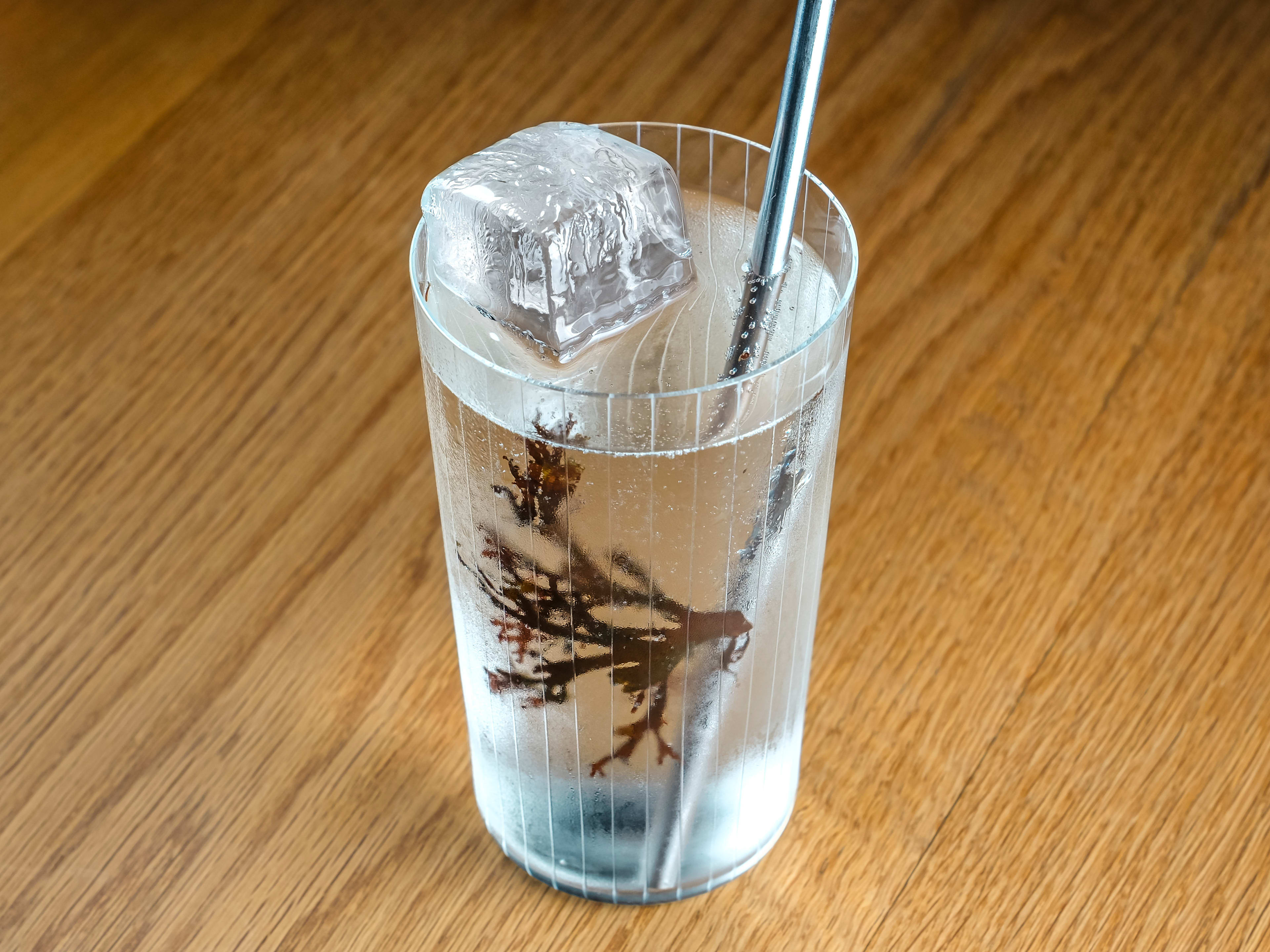 clear cocktail with seaweed tendril in it