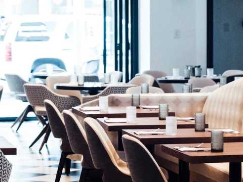 PLANTA by Steven Lee