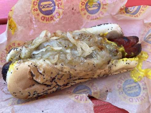 Fatso's Last Stand by Veda Kilaru