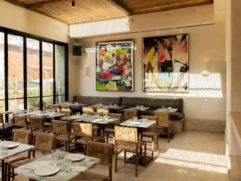 Great White by Roly Gomez