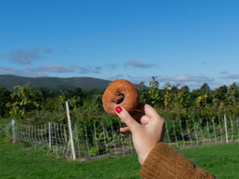 Jones Farm by Anne Cruz