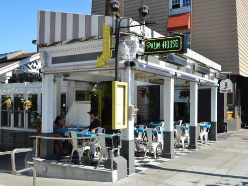 Palm House by Krescent Carasso