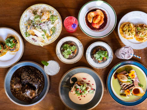 Pancita by Nate Watters