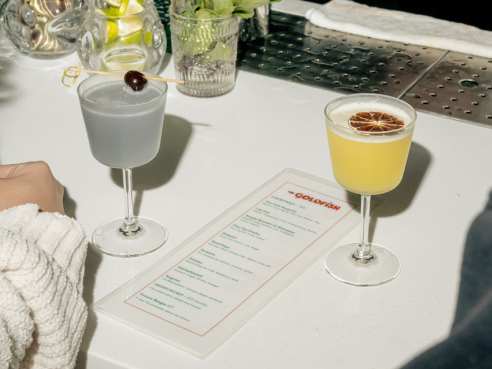 The Goldfish by The Goldfish