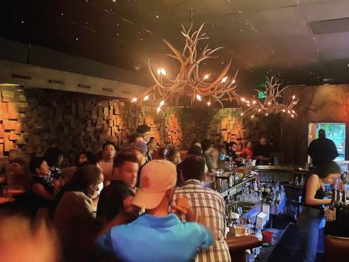 The Woods by @TheInfatuation