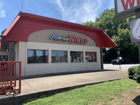 A Town Wings by Jacinta Howard
