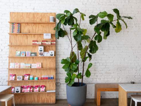 Eightfold Coffee by @TheInfatuation