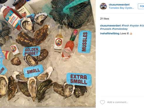 Tomales Bay Oyster Company by Infatuation - Reviews