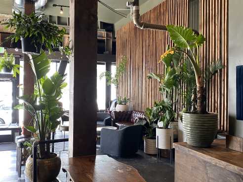 Propagation by @TheInfatuation