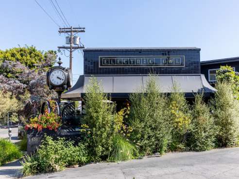 Electric Owl by @TheInfatuation