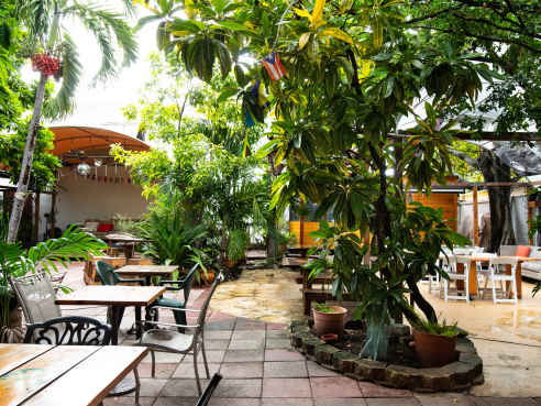 Naomi's Garden Restaurant & Lounge by @TheInfatuation