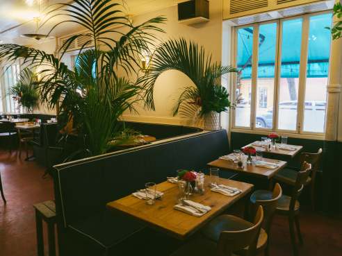 Rintintin by @TheInfatuation