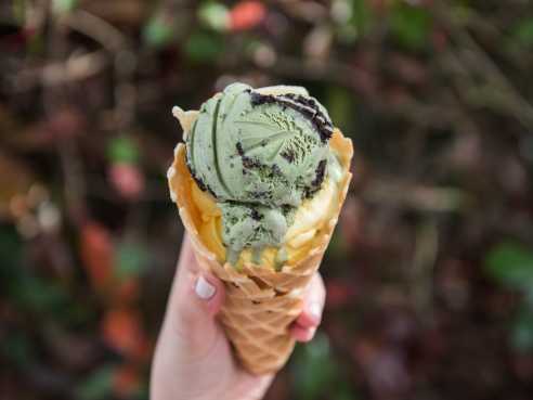 Husky Deli & Catering & Ice Cream by @TheInfatuation