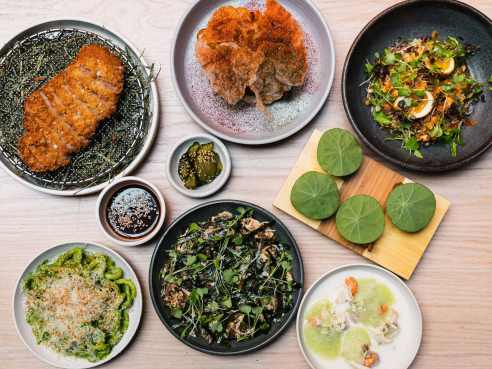 Llama San by @TheInfatuation