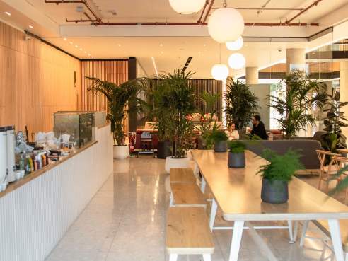 Flying Horse Coffee by Infatuation - Reviews