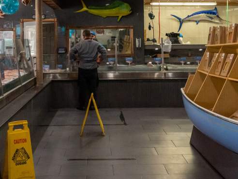 Fresh Florida Fisheries by Tasty Planet