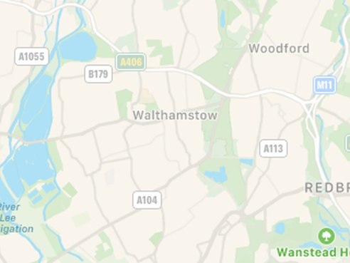 Homies On Donkeys by Infatuation - Reviews