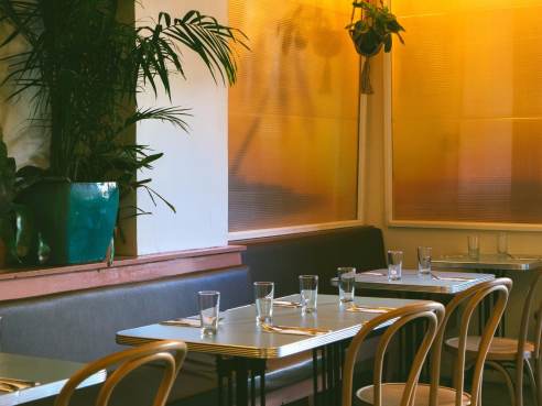 Sally Roots by Noah Devereaux