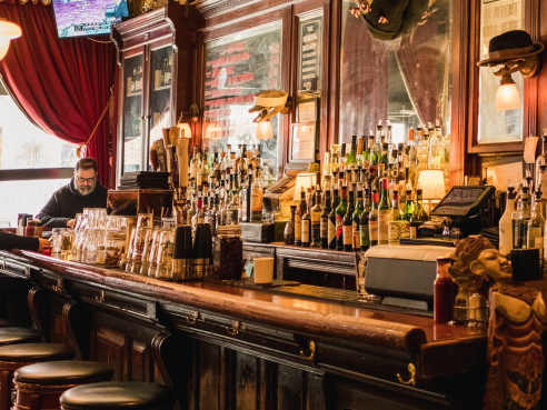 Sassafras by Rachel Lerro