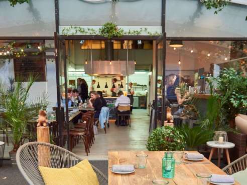 Frog by Infatuation - Reviews