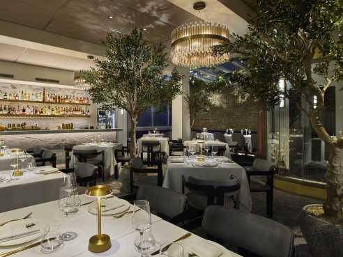 Sparrow Italia by Ben Carpenter