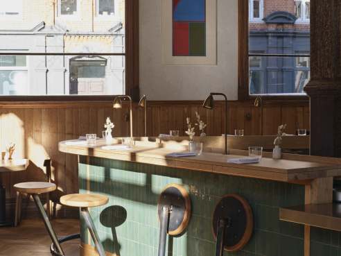 Morchella by Morchella