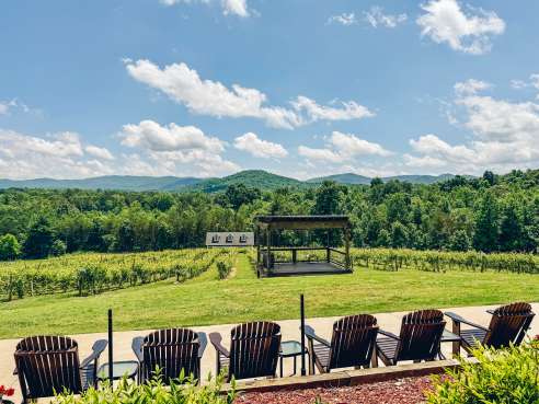 Ott Vineyards And Winery by Juli Horsford