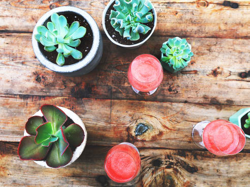 Bottlehouse by Bottlehouse