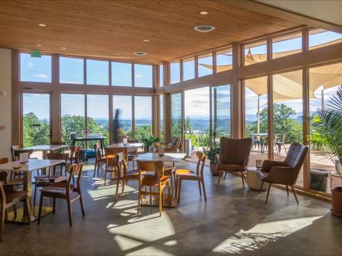 CHO Wines by Anzelina Coodey