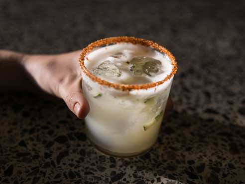 Caiman by Alicia Vera