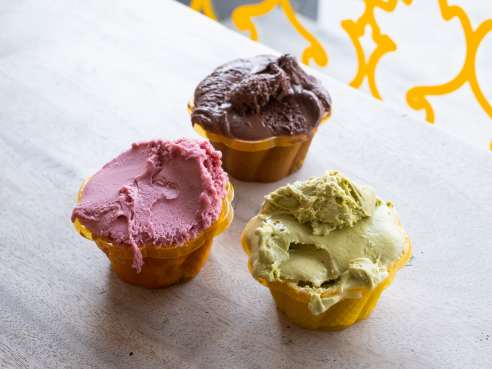 Nutty Squirrel Gelato by Nate Watters